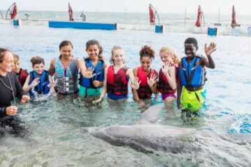 Dubai Dolphinarium