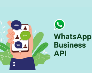 whatsapp business api service provider in india