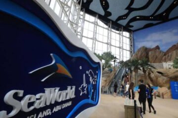 Experiences at SeaWorld Abu Dhabi