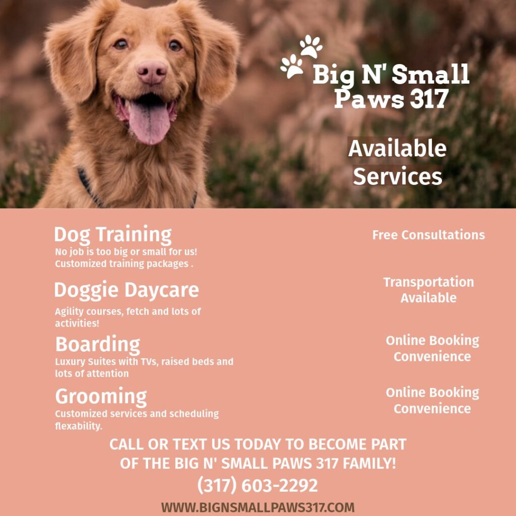 Private dog training carmel
