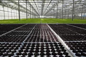 hydroponics farms