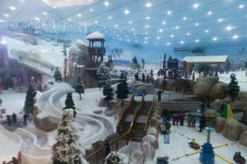 Ski Dubai Winter Adventure