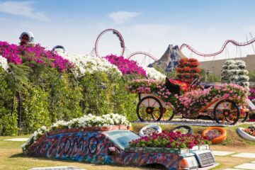 Dubai Miracle Garden