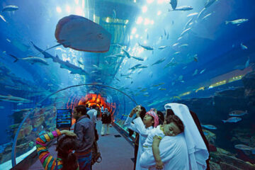 dubai mall aquarium and underwater zoo ticket