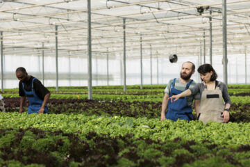 hydroponics farming in USA