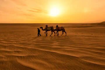 Desert Safari Dubai