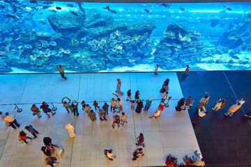 Dubai Mall Aquarium