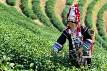 Thailand’s Hill Tribes