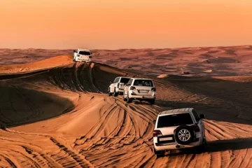 Why Choose a Morning Desert Safari in Dubai