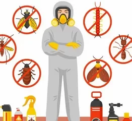 Pest Control in Lahore