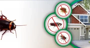 Pest Control & Cockroach Control Services