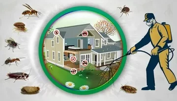 pest Control Services in Lahore & Termite Treatment