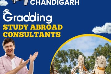 study abroad consultant in chandigarh