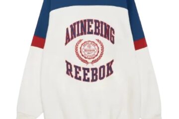 Anine Bing Reebok Sweatshirt