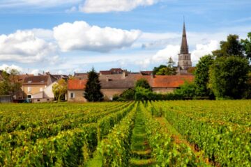 French Wine Regions