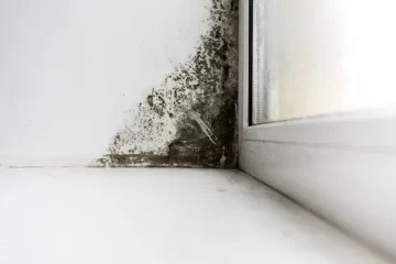 mold inspection Houston TX