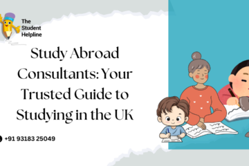 study abroad consultant