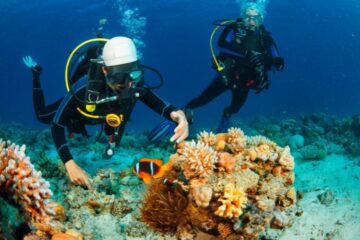 Dive Sites in Seychelles