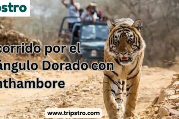 Recorrido por el Triángulo Dorado con Ranthambore