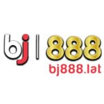 Profile picture of bj888